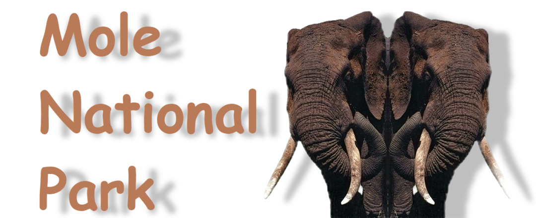 Mole National Park website, Ghana